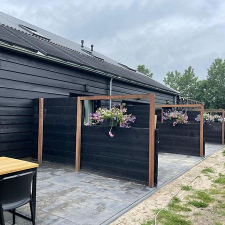 Cozy Holiday Home In Vrouwenpolder Close To The Beach Exterior foto